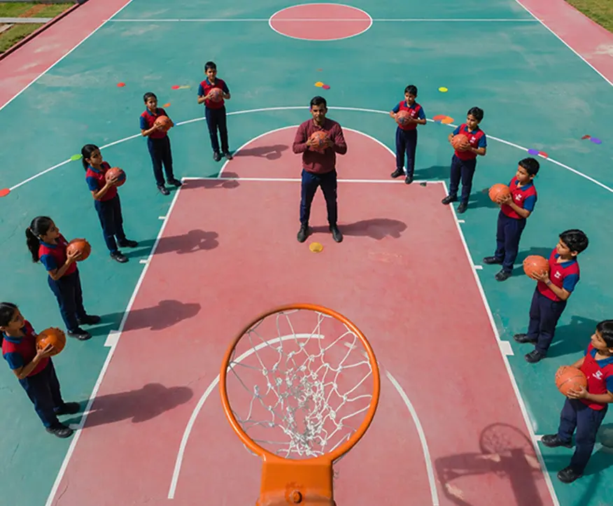 Sports Grounds